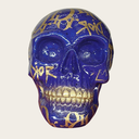 Skull-Dior Not War