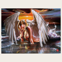 Fallen Angel