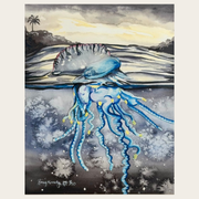 Man o' War Jellyfish